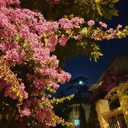 Villa Beautiful With Garden Princess Islands Estambul